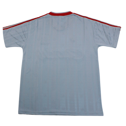 Liverpool Auswärts Gray 88/89