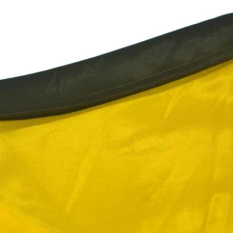 Borussia Dortmund Heim 98 "Chapuisat" Nr.9