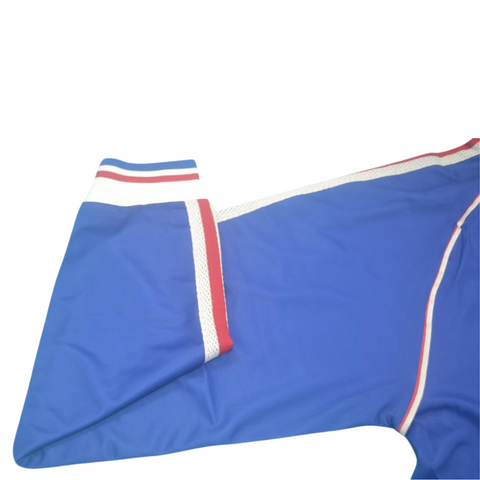 Frankreich Heim Langarm 1998 "Zidane" N°10
