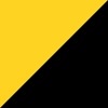Borussia Dortmund