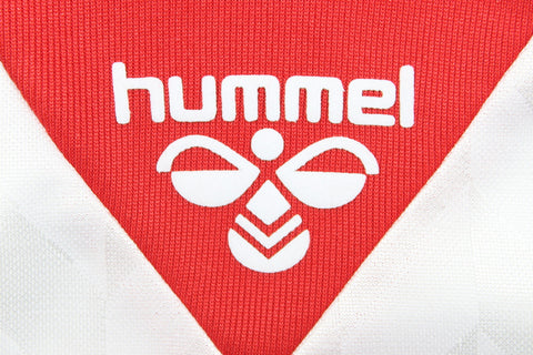 Dänemark Auswärts 1988