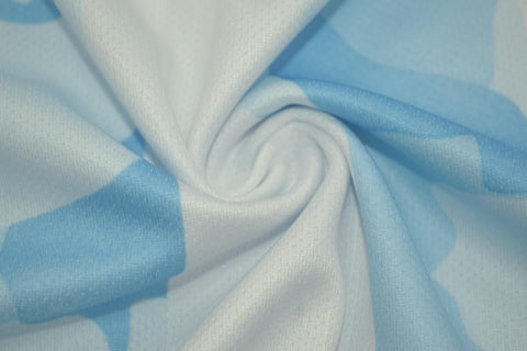 Argentinien Heim American Cup Version 20/21 "Messi" Nr.10
